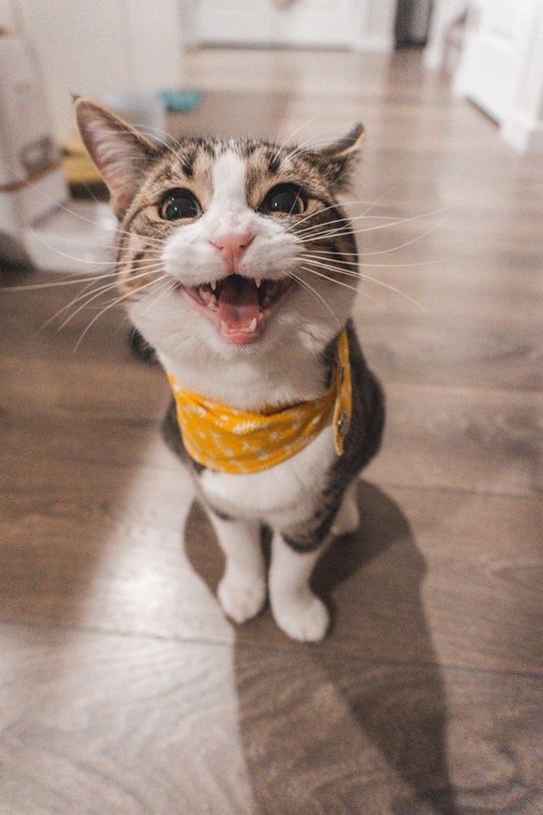古代狩猎场景浮雕
